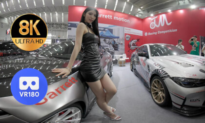 vr资源下载站 车模Yixin微笑杀