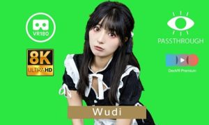 免费VR眼镜资源 乖巧女仆 3D 8K 绿幕透视