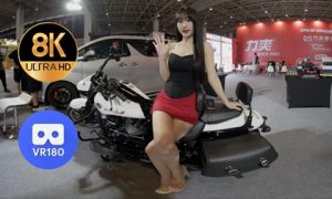 VR视频资源下载网站 高颜值的车模们